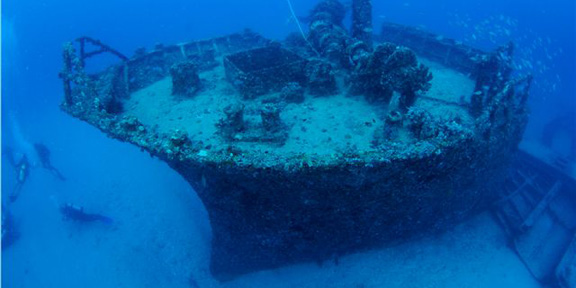 Dive With South Florida Diving Headquarters